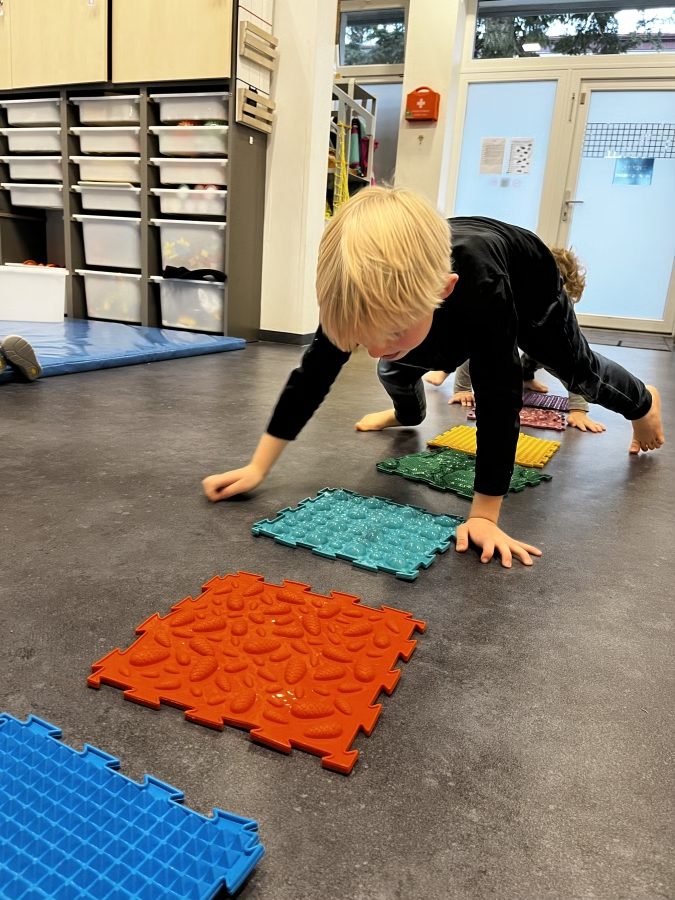 Projekt pohyb do MŠ